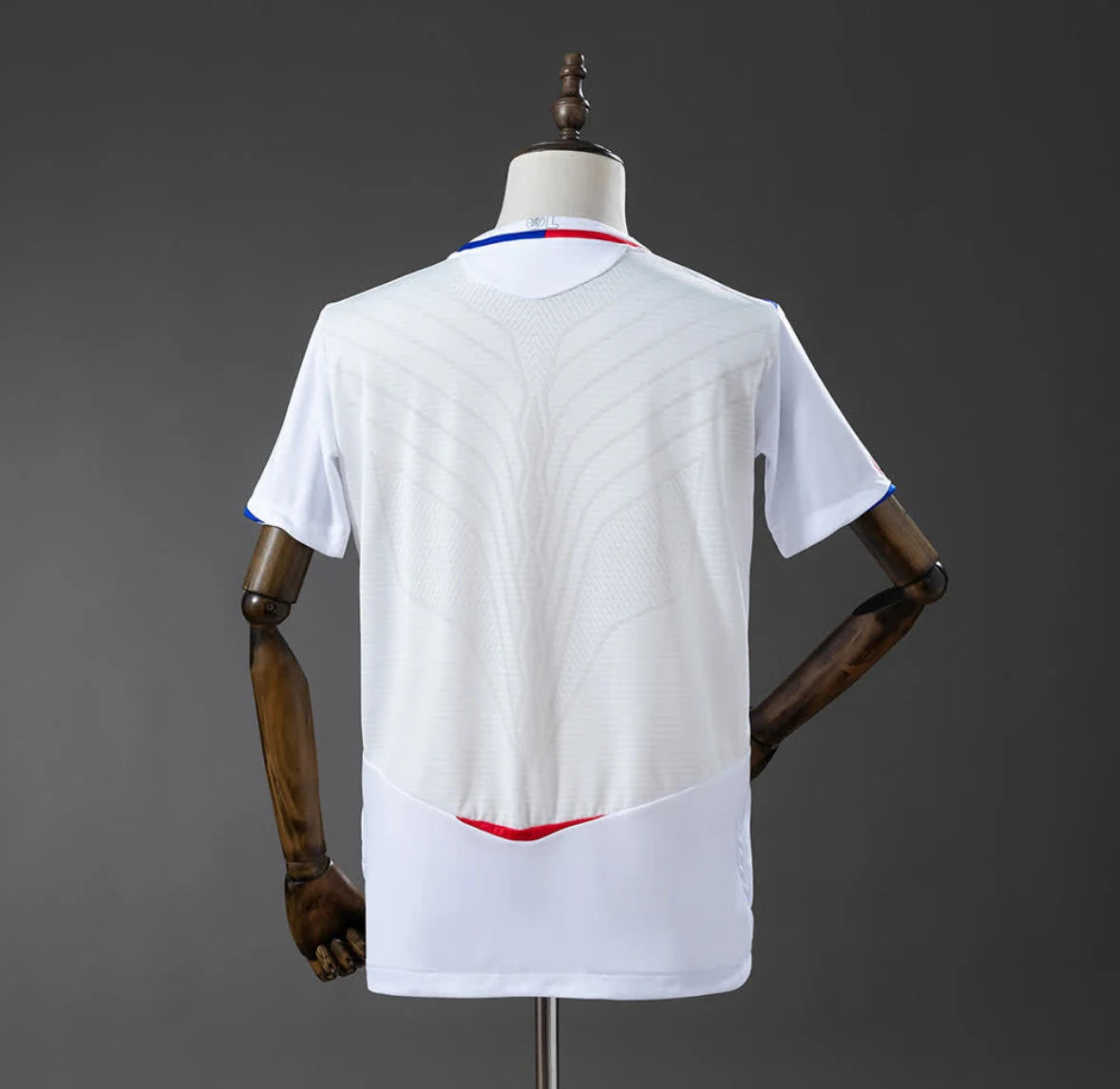 Olympique Lyonnais 2008/09 Home Jersey — supplied photo 2