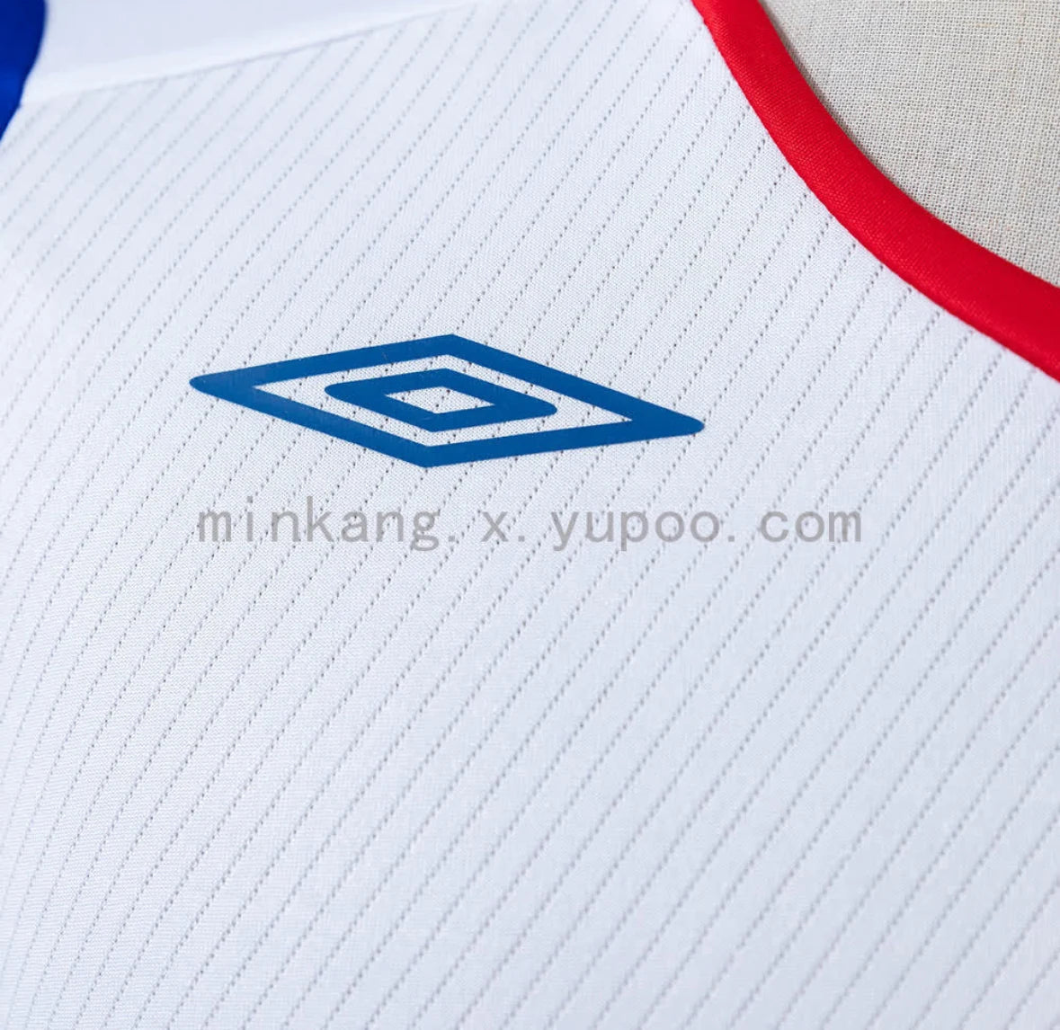 Olympique Lyonnais 2008/09 Home Jersey — supplied photo 3