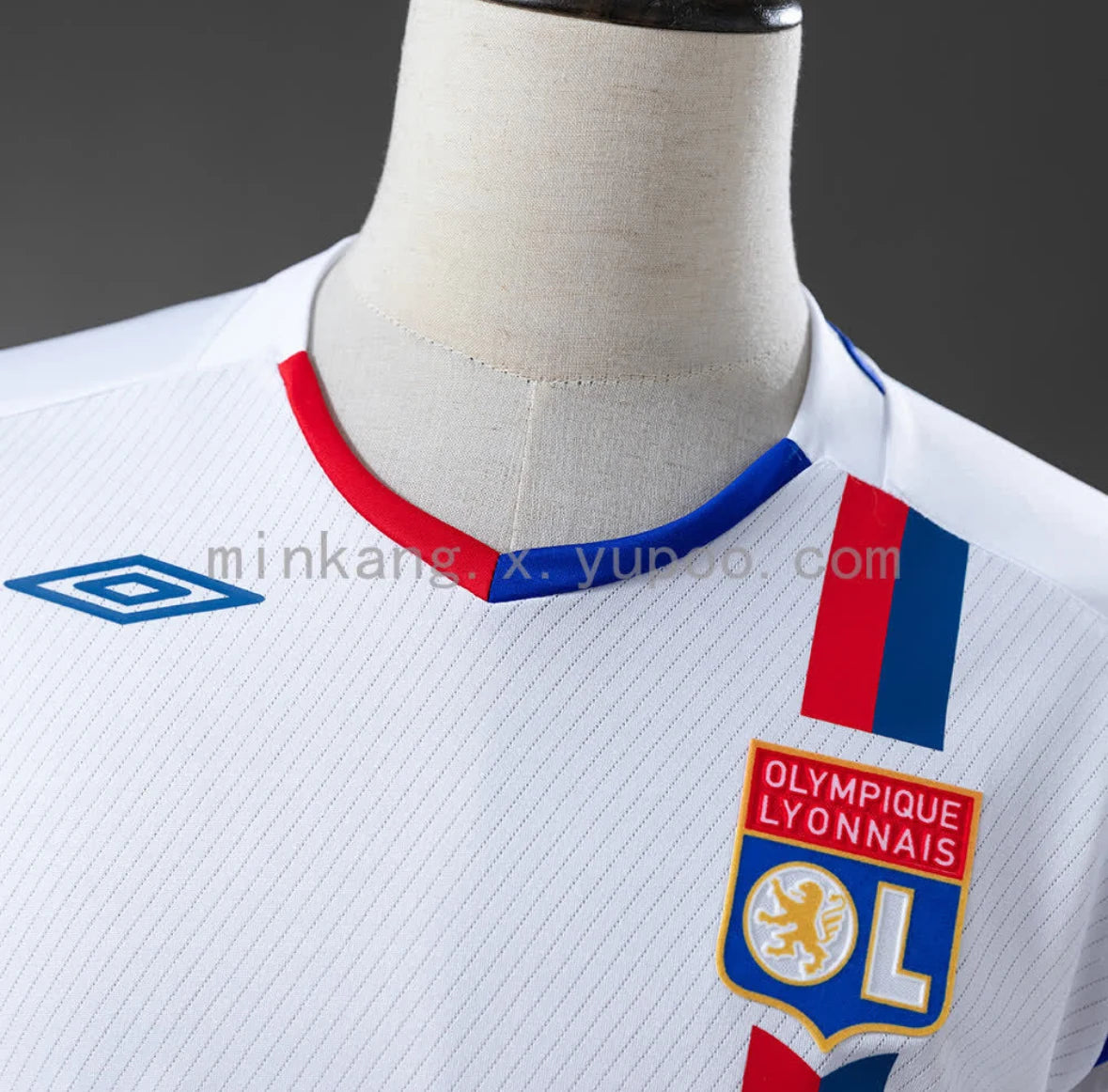 Olympique Lyonnais 2008/09 Home Jersey — supplied photo 5