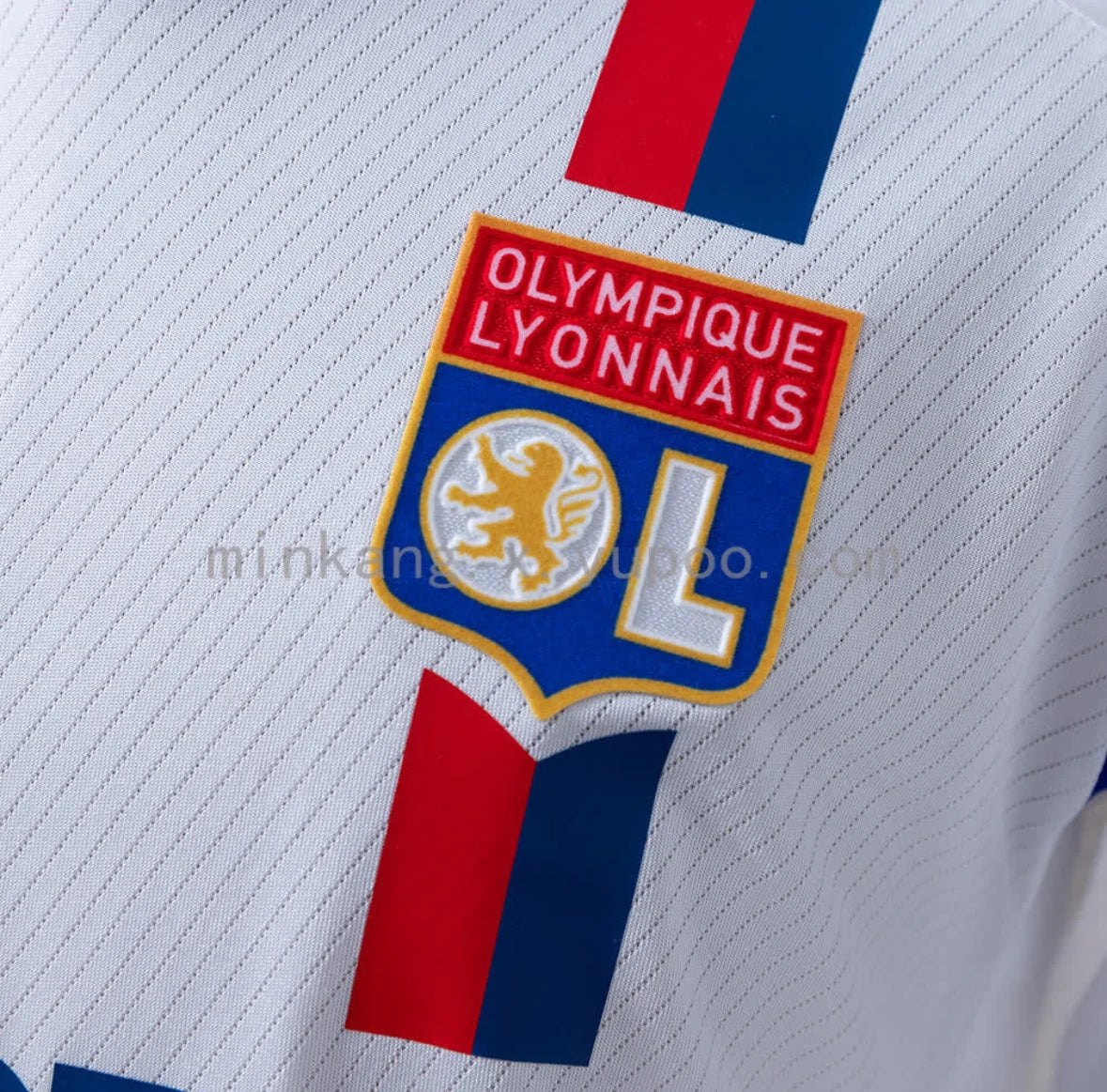 Olympique Lyonnais 2008/09 Home Jersey — supplied photo 6